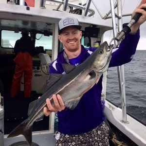 Meet your Posher, Mark